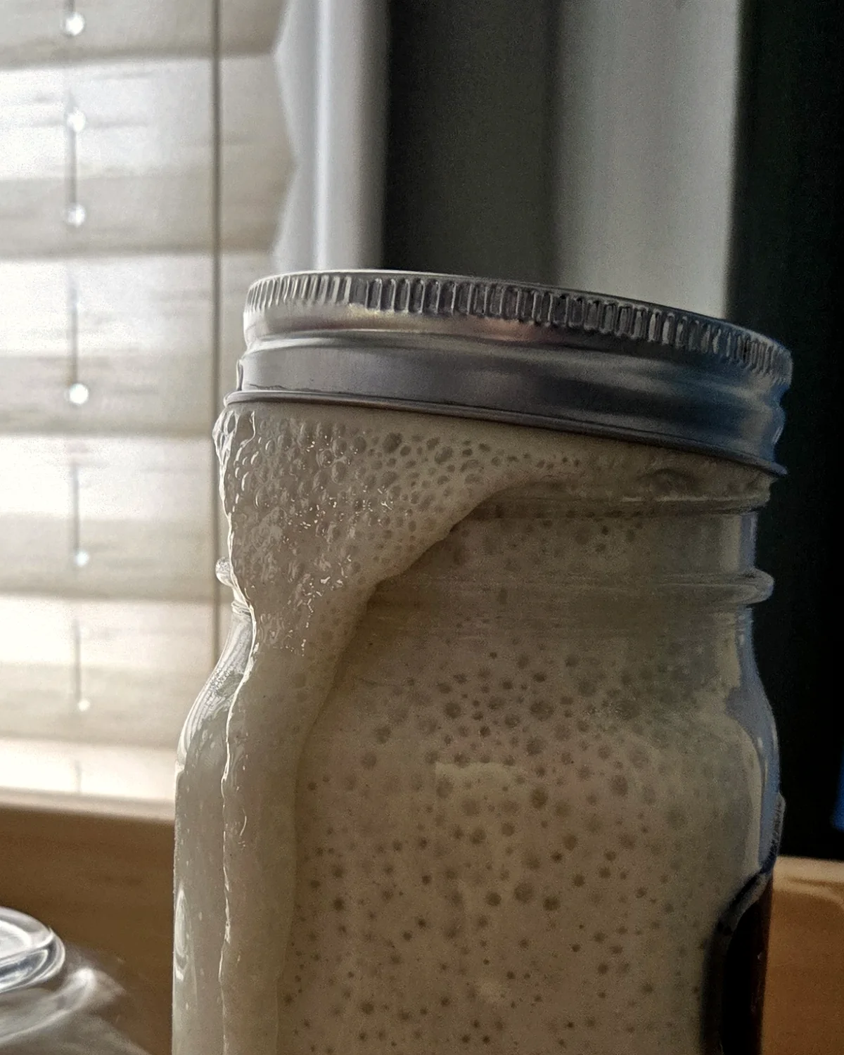 Active sourdough starter from the early days of Méli Mélo Artisan Bakery